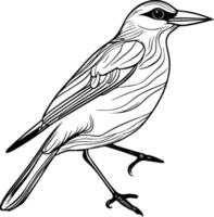 bird on a branch line art, flying bird, seasonal bird nature vector