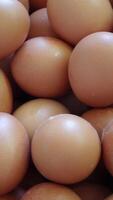 Vertical video of eggs