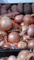 verticale vidéo de Frais des légumes à supermarché video