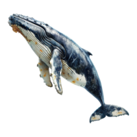 ai generado ballena aislado en transparente antecedentes png