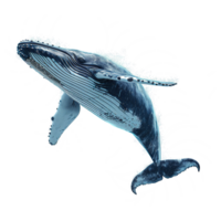 AI generated Whale isolated on transparent background png