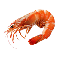 AI generated Shrimp isolated on transparent background png