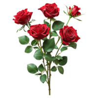 AI generated Red rose bouquet isolated on transparent background png