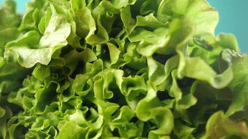 green lettuce leaves on a chopping board on table video