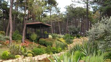 A gazebo nestled amidst vibrant greenery of a forest video