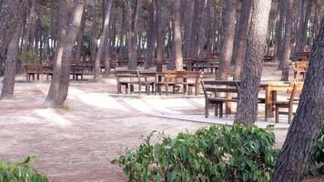 avvicinamento di un' di legno picnic tavolo nel Istanbul video