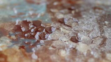 close up of fresh honey with comp in a jar video