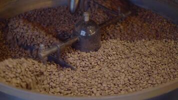 coffee beans roasting in machine. video