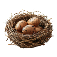 AI generated Eggs in nest isolated on transparent background png