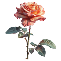 ai gerado rosa flor isolado em transparente fundo png
