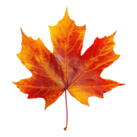 AI generated Autumn maple leaf isolated on transparent background png