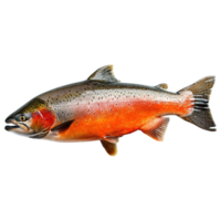 ai generato salmone pesce isolato su trasparente sfondo png