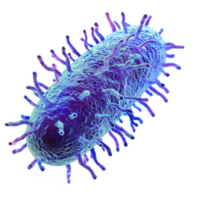 AI generated Microbe isolated on transparent background png