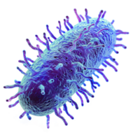 ai generato microbo isolato su trasparente sfondo png