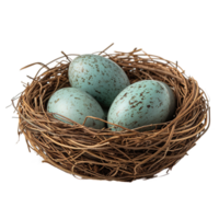 AI generated Eggs in nest isolated on transparent background png