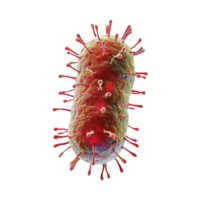 ai generato microbo isolato su trasparente sfondo png