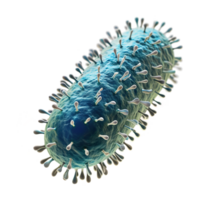 ai generato microbo isolato su trasparente sfondo png