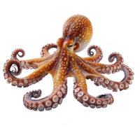 ai gegenereerd Octopus geïsoleerd Aan transparant achtergrond png