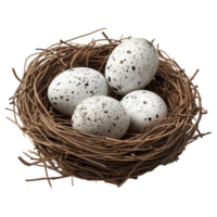 AI generated Eggs in nest isolated on transparent background png