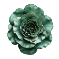 ai generado verde Rosa flor aislado en transparente antecedentes png