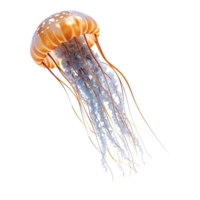 AI generated Jellyfish isolated on transparent background png