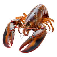 ai généré Homard isolé sur transparent Contexte png