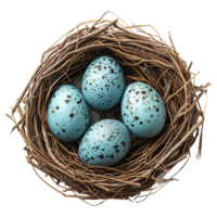 AI generated Eggs in nest isolated on transparent background png