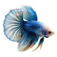 ai generado media Luna platino Betta pescado aislado en transparente antecedentes png