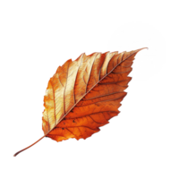 AI generated Autumn leaf isolated on transparent background png