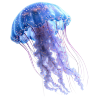 AI generated Jellyfish isolated on transparent background png