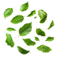 AI generated Leaves fluttering in wind isolated on transparent background png