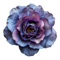 ai generado púrpura Rosa flor aislado en transparente antecedentes png