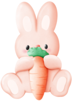 Coelho segurando cenoura png