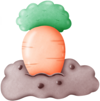 Growing carrots popping out of the soil png
