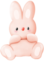 Hase halten Karotte png