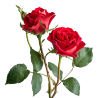 AI generated 3D Rendering of a Red Rose With Leaves on Transparent Background - Ai Generated png