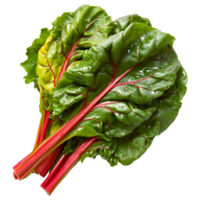 AI generated 3D Rendering of a Switzerland Chard Common Beet on Transparent Background - Ai Generated png