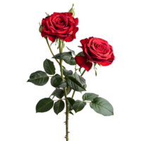 AI generated 3D Rendering of a Red Rose With Leaves on Transparent Background - Ai Generated png