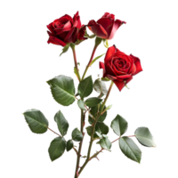 AI generated 3D Rendering of a Red Rose With Leaves on Transparent Background - Ai Generated png