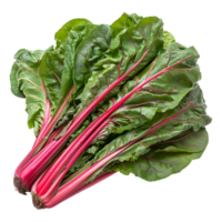 AI generated 3D Rendering of a Switzerland Chard Common Beet on Transparent Background - Ai Generated png