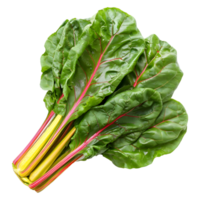 AI generated 3D Rendering of a Switzerland Chard Common Beet on Transparent Background - Ai Generated png