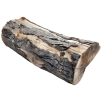 ai gegenereerd 3d renderen van een groot hout stuk van een boom Aan transparant achtergrond - ai gegenereerd png