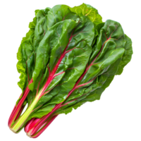 AI generated 3D Rendering of a Switzerland Chard Common Beet on Transparent Background - Ai Generated png