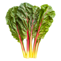 AI generated 3D Rendering of a Switzerland Chard Common Beet on Transparent Background - Ai Generated png