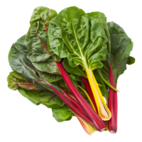 AI generated 3D Rendering of a Switzerland Chard Common Beet on Transparent Background - Ai Generated png