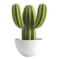 ai generato 3d interpretazione di un' cactus albero su trasparente sfondo - ai generato png