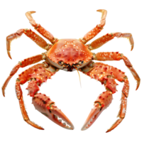 ai généré 3d le rendu de une Roi Crabes sur transparent Contexte - ai généré png