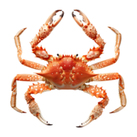 ai généré 3d le rendu de une Roi Crabes sur transparent Contexte - ai généré png