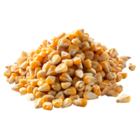 AI generated 3D Rendering of a Dry Corn Beans on Transparent Background - Ai Generated png