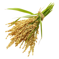 AI generated 3D Rendering of a Grain crop on Transparent Background - Ai Generated png